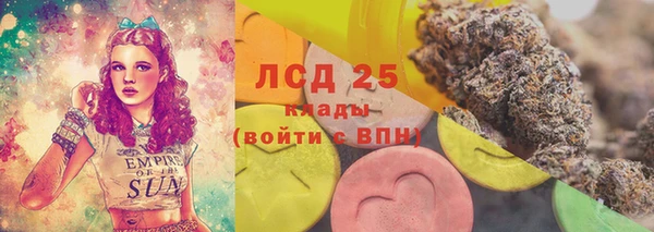 стаф Алексин