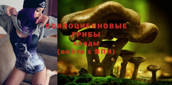 стаф Алексин
