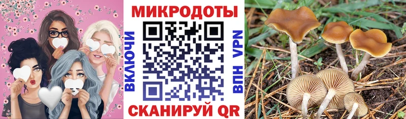 Галлюциногенные грибы MAGIC MUSHROOMS  Навашино 
